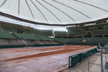 Bild 4 - BL Club an der Alster - THC von Horn und Hamm : Ergebnis: 9:0